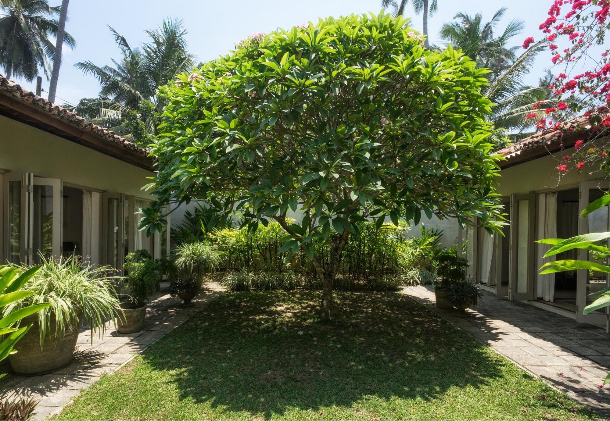 Hotel Elysium Unawatuna Zewnętrze zdjęcie